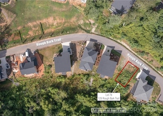 129 Rough Bark Trail Unit 78, Asheville, NC 28806