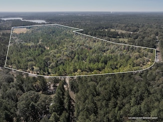 91 Acres Burge and Reyer Rd, Poplarville, MS 39470