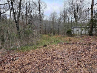 9310 Co Rd 61, Florence, AL 35634