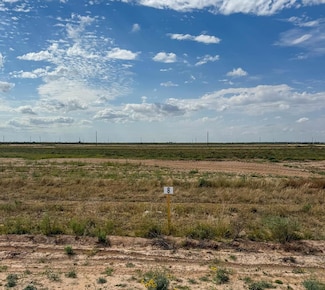 LOT 8 County Rd 409-K, Seminole, TX 79360