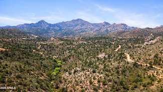 0000 W Appaloosa Trail Unit 123, Peeples Valley, AZ 86332