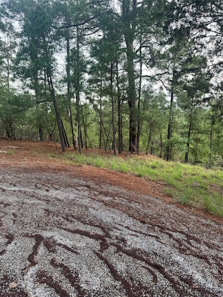 Lot 1492 Haleakala Ln, Bastrop, TX 78602