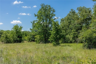 10677 Brushwood Cutoff, Bedias, TX 77831