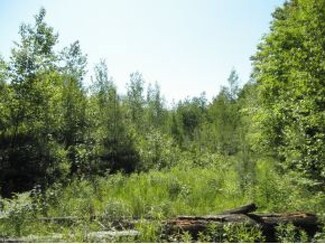 211 Skinny Ridge Rd, Lyman, NH 03585