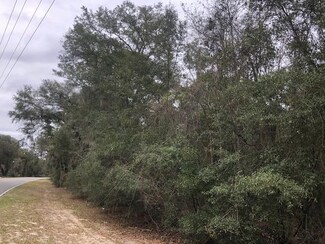 Tract 6 Susie Baker Rd, Townsend, GA 31331