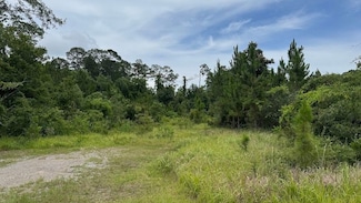 0 Tanner Rd Unit LotWP001 19392980, Gulfport, MS 39503