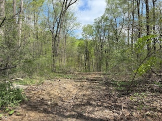 9660 Old Haggard Rd, Morgantown, IN 46160