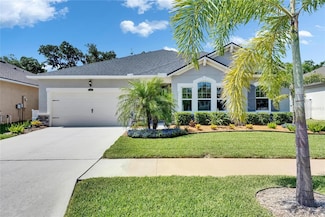 12957 Satin Lily Dr, Riverview, FL 33579