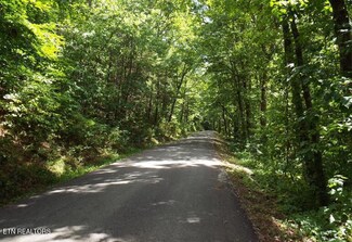 0 Old Gobey Rd, Wartburg, TN 37887