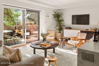 119 E Cooper Ave Unit 15, Aspen, CO 81611