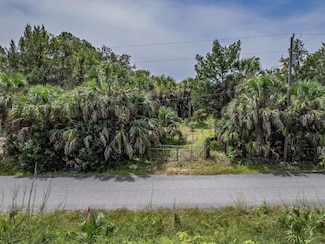 xx Blue Dolphin Dr, Crawfordville, FL 32327