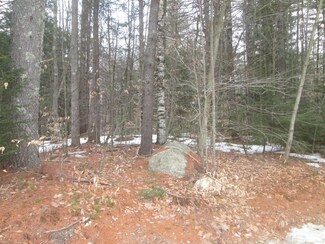 Lot 1-44-0 S Brook Cir, Bradford, NH 03221