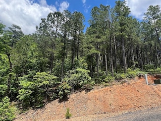 289 Virginia Ln, Broken Bow, OK 74728