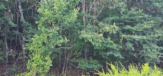 000000 E Moonshine 1000 Rd, Gore, OK 74435
