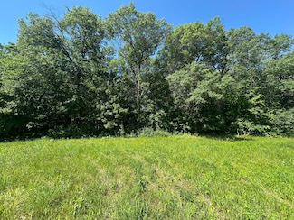 TBD County Road 11, Manhattan Beach, MN 56442