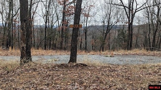 313 M C 4042, Yellville, AR 72687