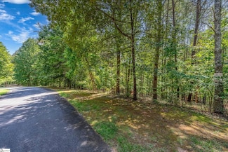 111 Sweetshrub Way, Sunset, SC 29685