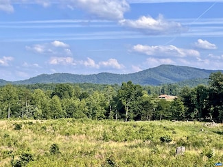 7337-C Dick Woods Rd Unit 40C, Afton, VA