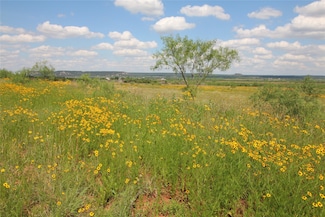 Lot 10 Marshal Trail, Tuscola, TX 79562