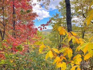 57 Grouse Ridge Dr, Black Mountain, NC 28711