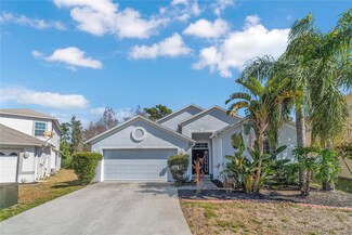 15727 Cedar Elm Terrace, Land O Lakes, FL 34638