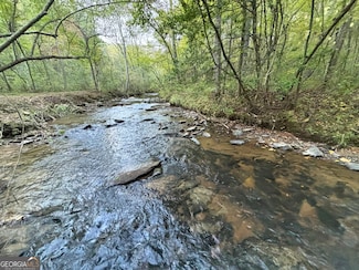 2010 Mt Springer Rd, Ellijay, GA 30540
