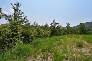 113 Chardonnay Ave Unit 10, Marshall, NC 28753