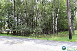 974 Stony Mountain Rd, Penn Forest Township, PA 18210