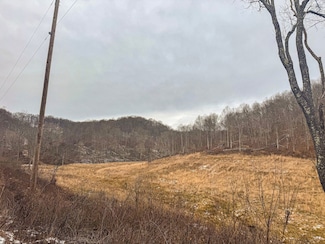 Lot 1 States Fork Rd, Metz, WV 26585