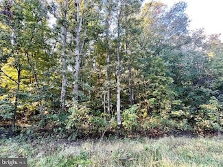 0 Short Mountain Rd, Edinburg, VA 22824