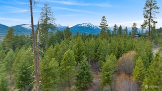 311 Rinky Dink Ln, Cle Elum, WA 98922