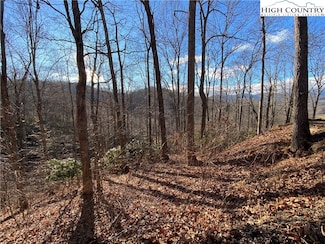 Tbd Tanner Rd, Boone, NC 28607