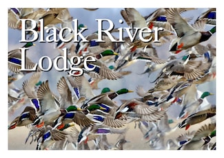 787 Lower Lockhart Rd, Cord, AR 72524