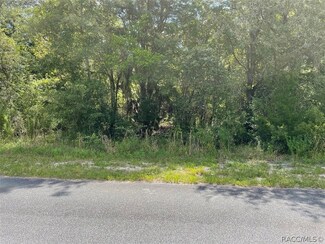 LOT 31 SW Grandview Ave, Dunnellon, FL 34431