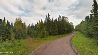 6161 Captain Kidd Ave, Meadow Lakes, AK 99654