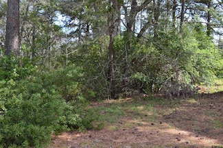 706 Duckenfield Ave, Tyler, TX 75701
