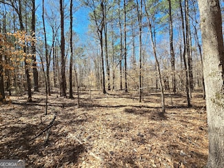 0 River Shoals Ct Unit 10484283, Covington, GA 30016