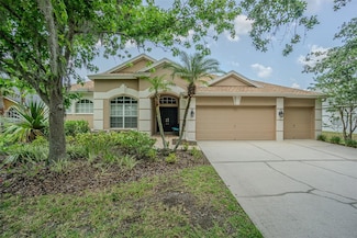 5317 Pagnotta Place, Lutz, FL 33558