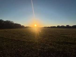 24038 US Hwy 277, Quemado, TX 78877