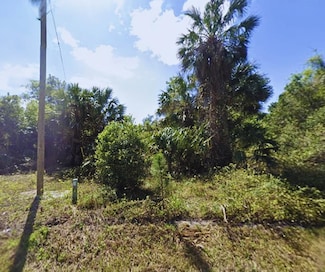 429 Birch Blvd, Georgetown, FL 32139