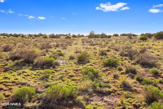 591 S Palmetto Rd, Valle, AZ 86046