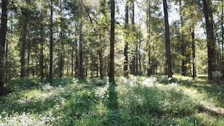 00 Hwy 28 W, Soso, MS 39480
