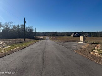 0 Dr Unit 4099493, Perkinston, MS 39573