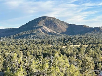 2519 Green Shadows Rd, Durango, CO 81303