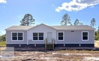 6320 Mount Pleasant Rd, Hortense, GA 31543