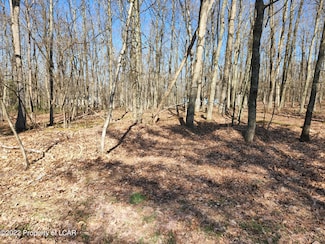 Lot 013 Hillary Dr, Foster Township, PA 18661