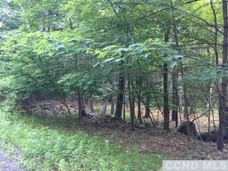 0 Paradise Lake Rd Unit 132494, Catskill, NY 12414