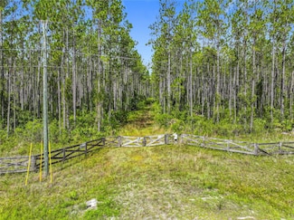 TBD NW Co Road 336, Chiefland, FL 32626