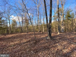 Lot 28 Lookout Ridge Dr, Wardensville, WV 26851