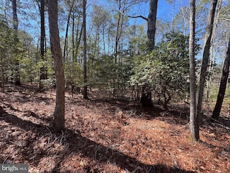Lot 1897 Buccaneer Blvd, Greenbackvile, VA 23356